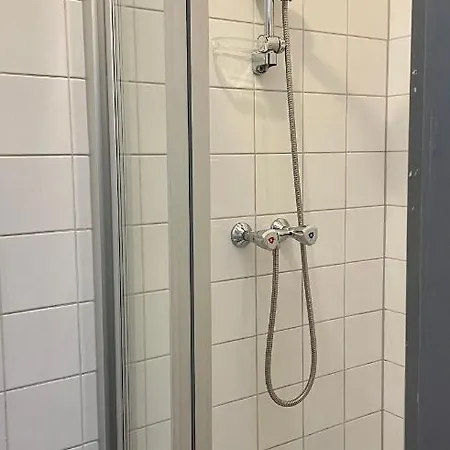 Brinkvis De Koog (Texel)