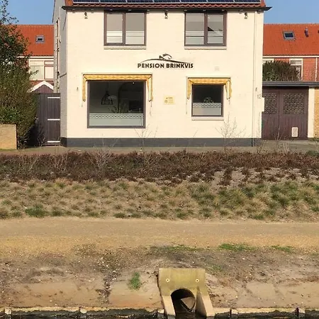 Brinkvis