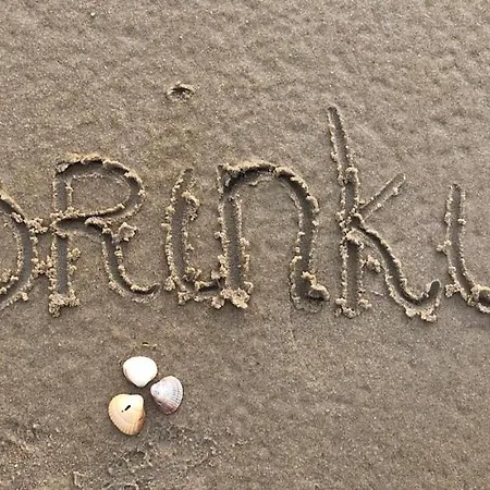Brinkvis