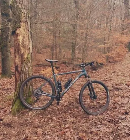 בית הארחה Brinkvis